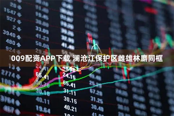 009配资APP下载 澜沧江保护区雌雄林麝同框