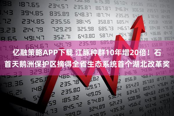 亿融策略APP下载 江豚种群10年增20倍！石首天鹅洲保护区摘得全省生态系统首个湖北改革奖